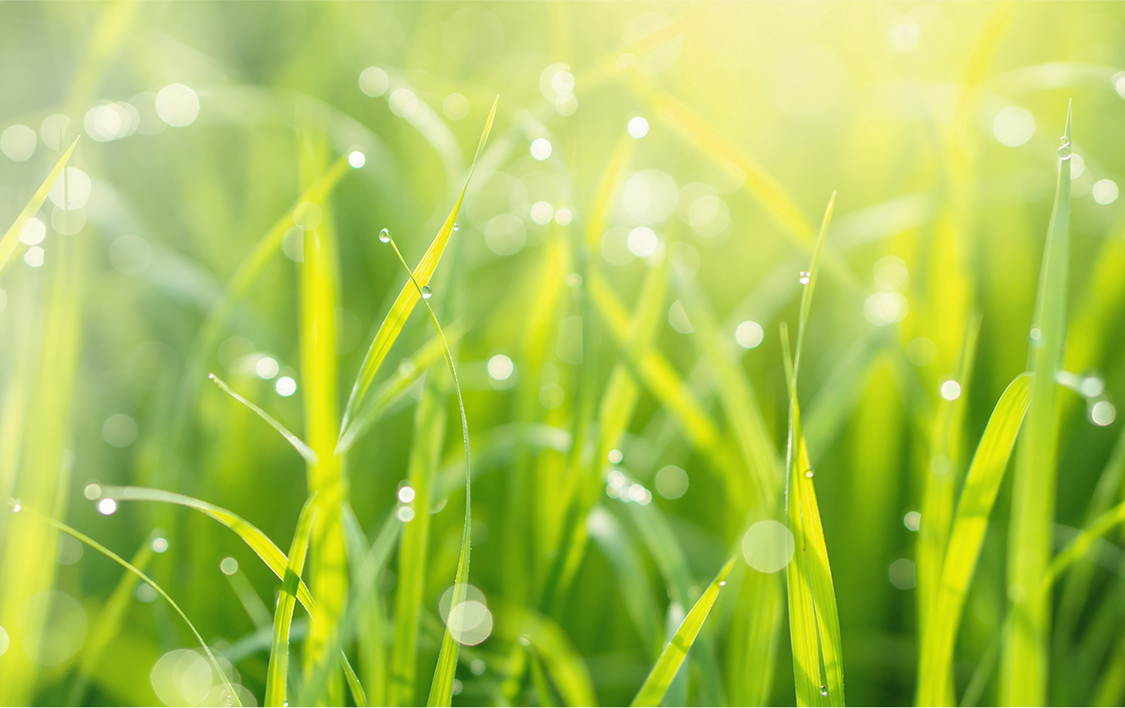 プライバシーポリシー